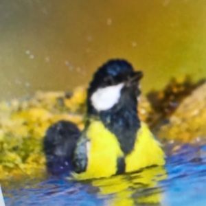 Meet your Posher, Serena